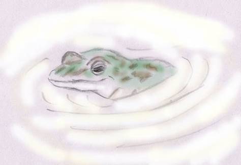 FroschMilchtopf-1col-500