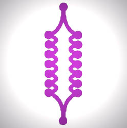 samadhi