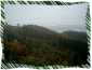 Natur 03