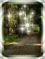 Natur 02